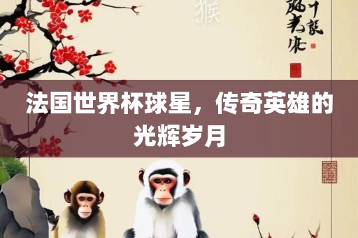 法国世界杯球星，传奇英雄的光辉岁月