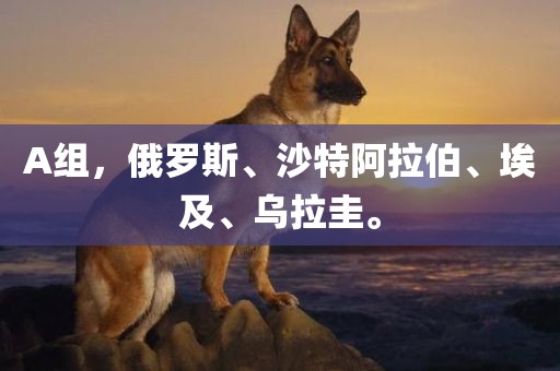 A组，俄罗斯、沙特阿拉伯、埃及、乌拉圭。