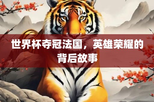 世界杯夺冠法国，英雄荣耀的背后故事