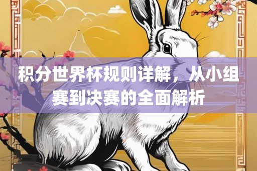 积分世界杯规则详解，从小组赛到决赛的全面解析