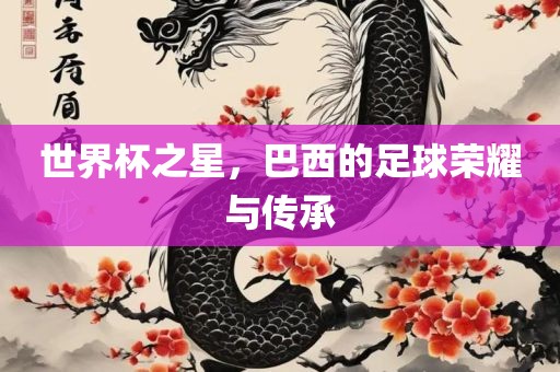 世界杯之星，巴西的足球荣耀与传承