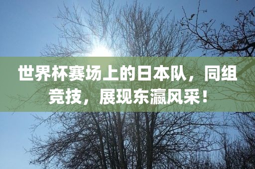 世界杯赛场上的日本队，同组竞技，展现东瀛风采！吉安市靖泰电力工程有限公司