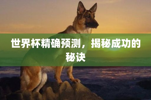 世界杯精确预测吉安市靖泰电力工程有限公司，揭秘成功的秘诀