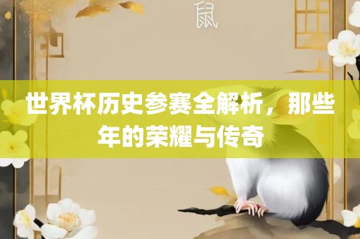 世界杯历史参赛全解析，那些年的荣耀与传奇