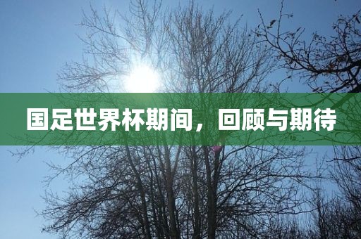 回顾与期待