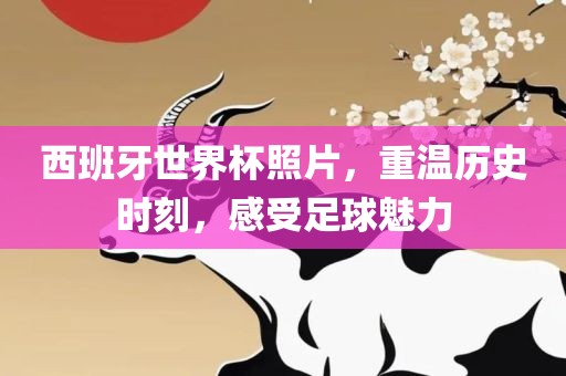 西班牙世界杯照片，重温历史时刻，感受足球魅力