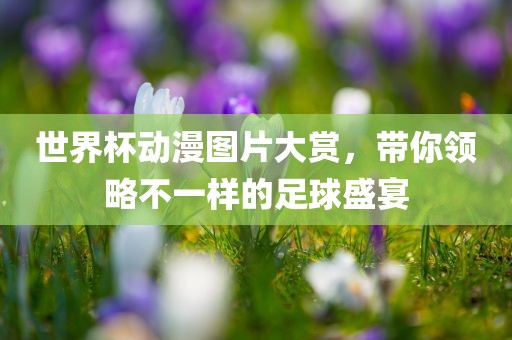 世界杯动漫图片大赏，带你领略不一样的足球盛宴