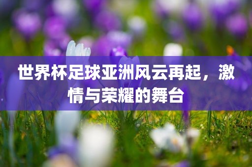 世界杯足球亚洲风云再起，激情与荣耀的舞台