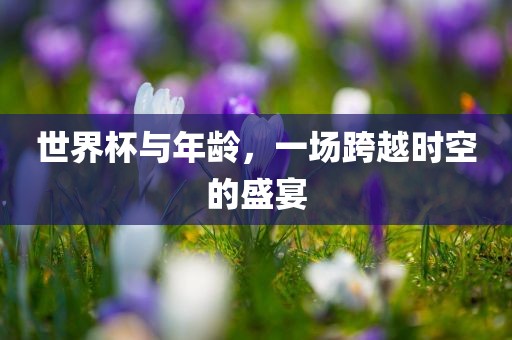 世界杯与年龄，一场跨越时空的盛宴吉安市靖泰电力工程有限公司