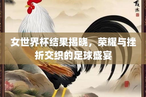 女世界杯结果揭晓，荣耀与挫折交织的足球盛宴