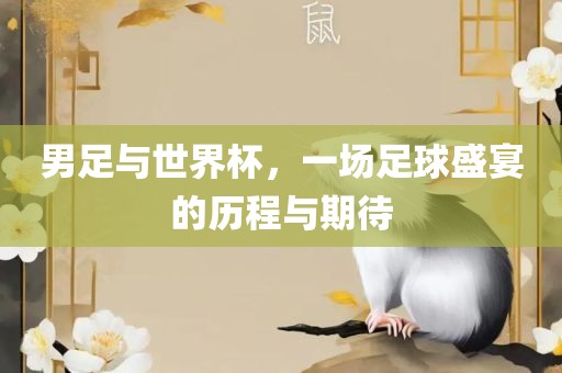 男足与世界杯，一场足球盛宴的历程与期待