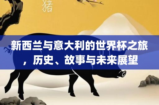 新西兰与意大利的世界杯之旅，历史、故事与未来展望