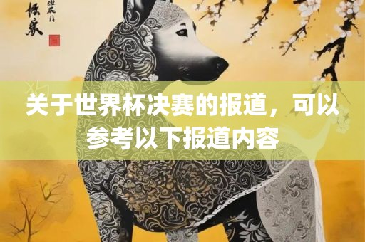 关于世界杯决赛的报道，可以参考以下报道内容