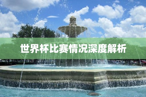 世界杯比赛情况深度解析吉安市靖泰电力工程有限公司