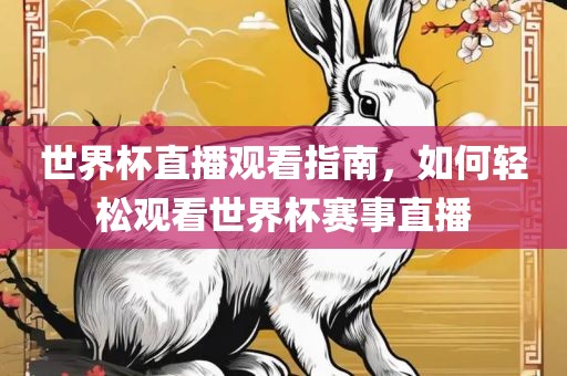 世界杯直播观看指南，如何轻松观看世界杯赛事直播