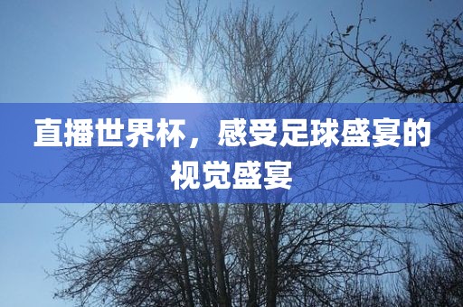 直播世界杯，感受足球盛宴的视觉盛宴