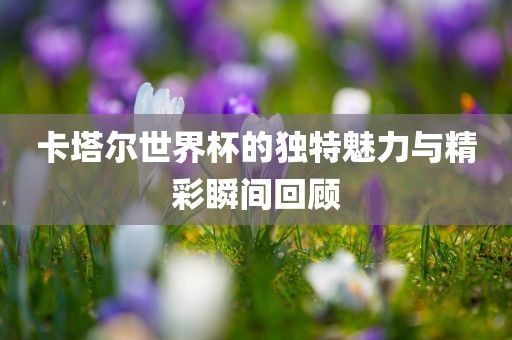 卡塔尔世界杯的独特魅力与精彩瞬间回顾吉安市靖泰电力工程有限公司