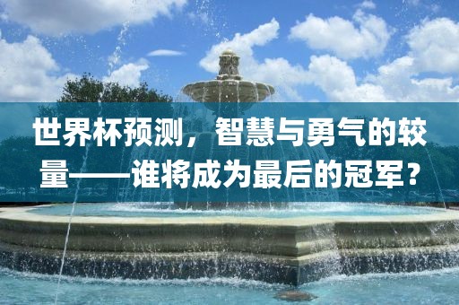 世界杯预测，智慧与勇气的较量——谁将成为最后的冠军？