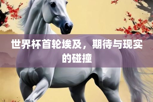 世界杯首轮埃及，期待与现实的碰撞