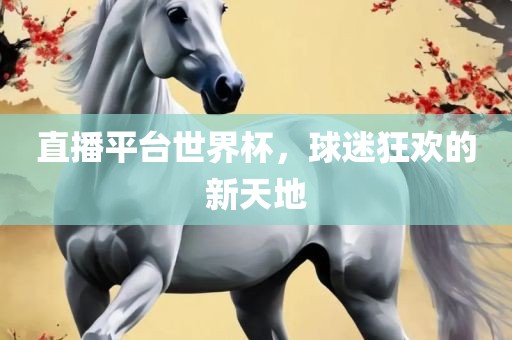 直播平台世界杯，球迷狂欢的新天地