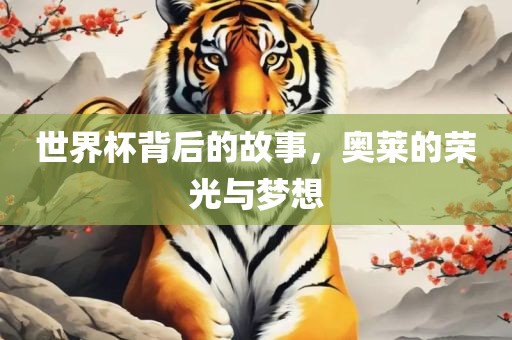 世界杯背后的故事，奥莱的荣光与梦想