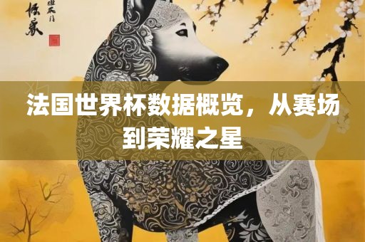 法国世界杯数据概览，从赛场到荣耀之星