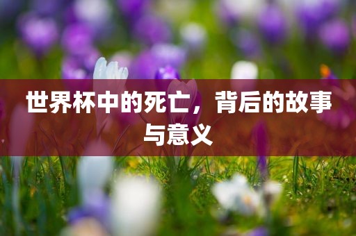 世界杯中的死亡，背后的故事与意义