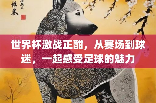 世界杯激战正酣，从赛场到球迷，一起感受足球的魅力