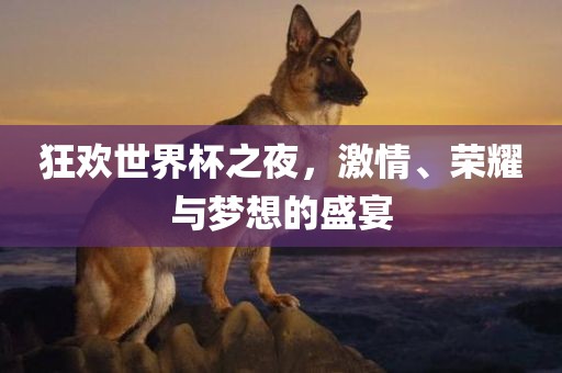 狂欢世界杯之夜，激情、荣耀与梦想的盛宴