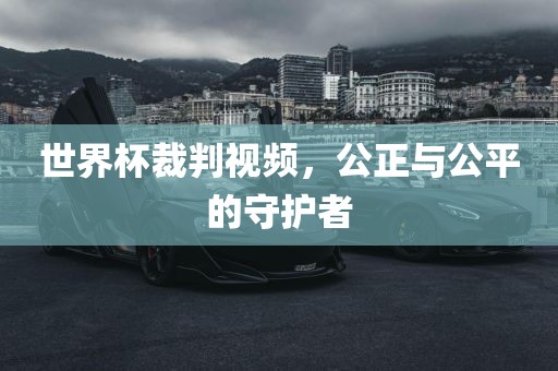 世界杯裁判视频，公正与公平的守护者