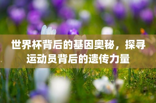世界杯背后的基因奥秘，探寻运动员背后的遗传力量吉安市靖泰电力工程有限公司