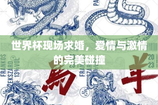 世界杯现场求婚，爱情与激情的完美碰撞