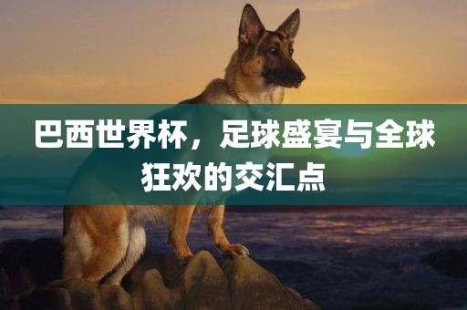巴西世界杯，足球盛宴与全球狂欢的交汇点吉安市靖泰电力工程有限公司