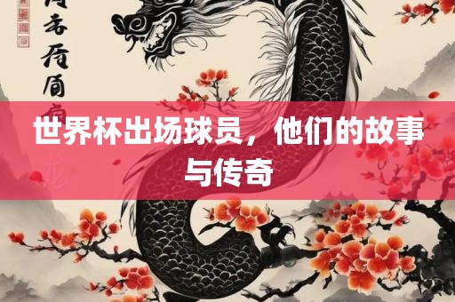 世界杯出场球员，他们的故事与传奇