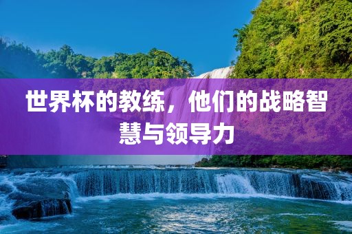 世界杯的教练，他们的战略智慧与领导力