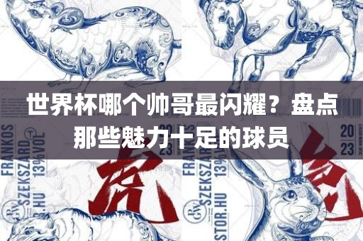 世界杯帅哥