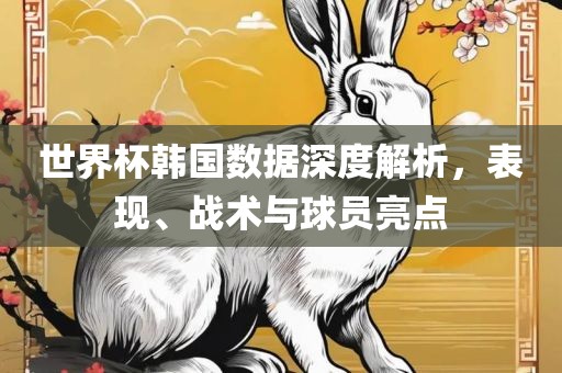 世界杯韩国数据深度解析，表现、战术与球员亮点