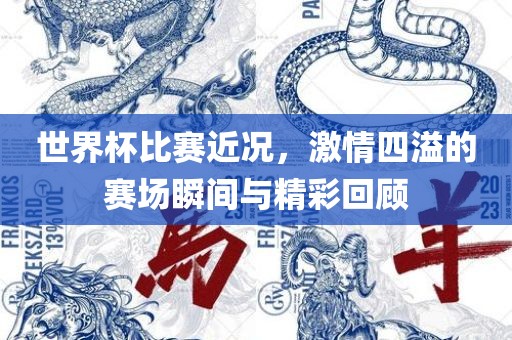 世界杯比赛近况，激情四溢的赛场瞬间与精彩回顾