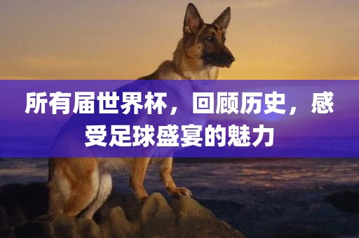 所有届世界杯，回顾历史，感受足球盛宴的魅力