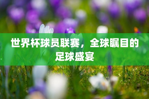 世界杯球员联赛，全球瞩目的足球盛宴