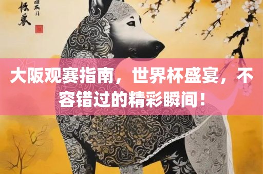 大阪观赛指南，世界杯盛宴，不容错过的精彩瞬间！