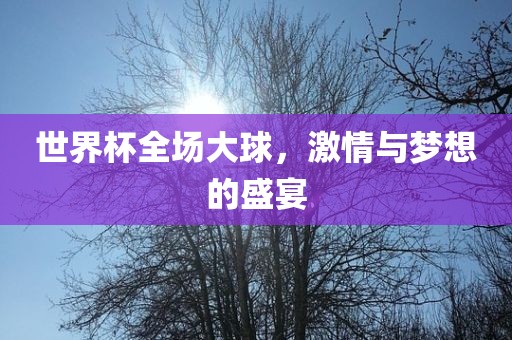 世界杯全场大球，激情与梦想的盛宴
