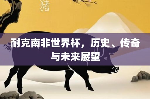 耐克南非世界杯，历史、传奇与未来展望
