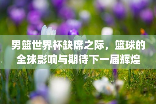 男篮世界杯缺席之际，篮球的全球影响与期待下一届辉煌
