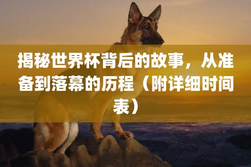 揭秘世界杯背后的故事，从准备到落幕的历程（附详细时间表）