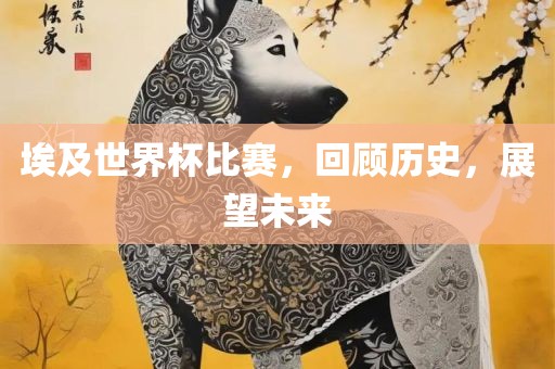 埃及世界杯比赛，回顾历史，展望未来