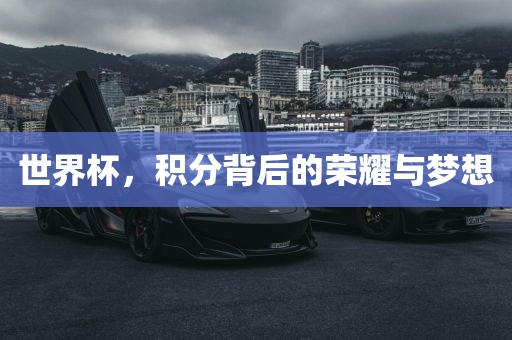 世界杯，积分背后的荣耀与梦想