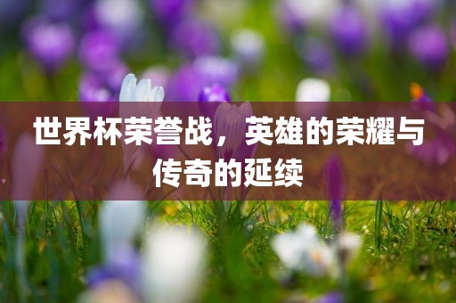 世界杯荣誉战，英雄的荣耀与传奇的延续