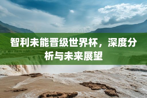 智利未能晋级世界杯，深度分析与未来展望