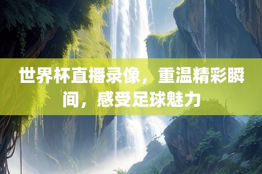 世界杯直播录像，重温精彩瞬间，感受足球魅力